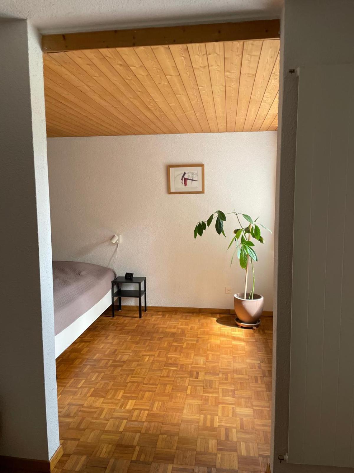 2.5 Zimmerwohnung, Pinut Trin 외부 사진